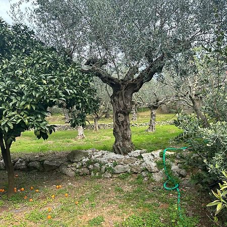 Chic Apartment In Nature, 5-Min Walk To The Beach Kalamata Exteriör bild