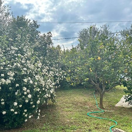 Chic Apartment In Nature, 5-Min Walk To The Beach Kalamata Exteriör bild