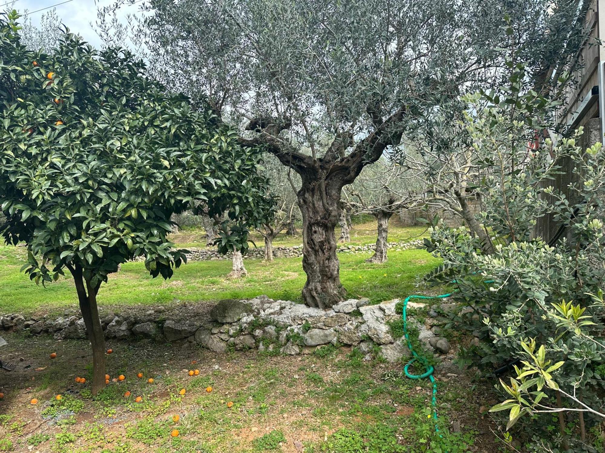Chic Apartment In Nature, 5-Min Walk To The Beach Kalamata Exteriör bild